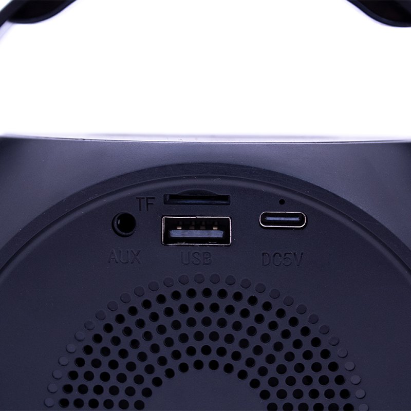 Enceinte Bluetooth universelle 6 W, mini karaoké, fête, 2 microphones, noire