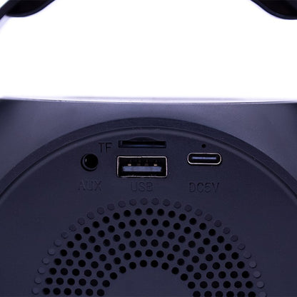 Enceinte Bluetooth universelle 6 W, mini karaoké, fête, 2 microphones, noire