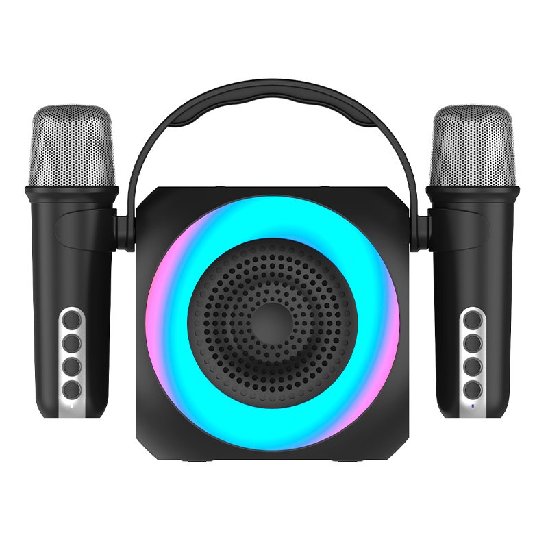 Enceinte Bluetooth universelle 6 W, mini karaoké, fête, 2 microphones, noire
