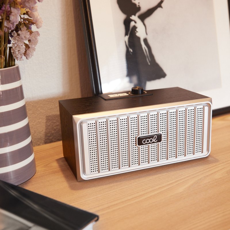 Enceinte Bluetooth universelle de marque COOL Retro (20 W) Noir Bois Façade argentée