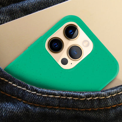 Coque Cool pour iPhone 12 Pro Max Eco Biodégradable Menthe